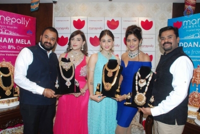 Diamond Mela Grand Launch at Manepally Jewellers  - 31 of 35
