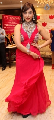 Diamond Mela Grand Launch at Manepally Jewellers  - 32 of 35