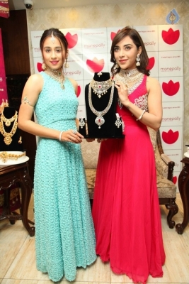 Diamond Mela Grand Launch at Manepally Jewellers  - 34 of 35