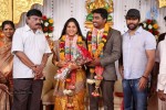 DOP Priyan Daughter Wedding Reception - 1 of 46