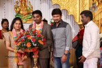 DOP Priyan Daughter Wedding Reception - 3 of 46
