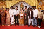 DOP Priyan Daughter Wedding Reception - 25 of 46