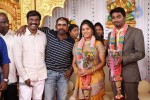 DOP Priyan Daughter Wedding Reception - 27 of 46