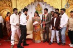 DOP Priyan Daughter Wedding Reception - 35 of 46