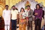 DOP Priyan Daughter Wedding Reception - 41 of 46