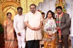 DOP Priyan Daughter Wedding Reception - 43 of 46