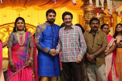 FEFSI Vijayan Son Wedding Reception Photos - 20 of 20