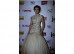 Filmfare Awards 2013 Photos - 37 of 94