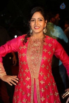 Gemini TV Puraskaralu 2016 Red Carpet 1 - 49 of 84