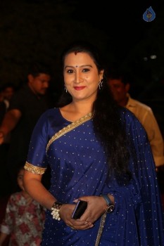 Gemini TV Puraskaralu 2016 Red Carpet 1 - 59 of 84