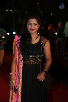 Gemini TV Puraskaralu 2016 Red Carpet 2 - 58 of 62