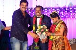 Harinath - Krishnaveni Wedding Reception - 10 of 151