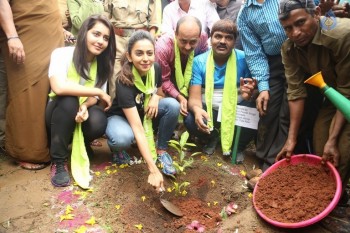 Haritha Haram Event at KBR Park - 29 of 102