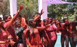 Holi 2014 Celebrations in Hyderabad - 37 of 151
