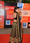 Hot Celebs at SIIMA 2014 - 16 of 78