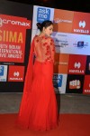 Hot Celebs at SIIMA 2014 - 17 of 78