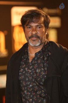 IIFA Utsavam 2016 Photos 1 - 57 of 110