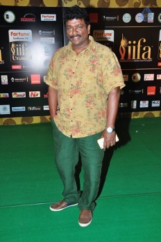 IIFA Utsavam 2016 Photos 1 - 60 of 110