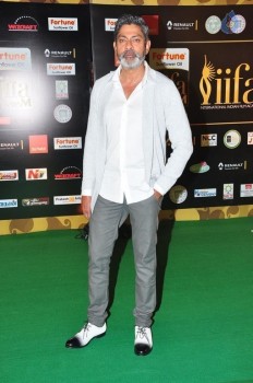 IIFA Utsavam 2016 Photos 1 - 29 of 110
