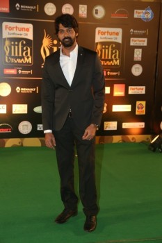 IIFA Utsavam 2016 Photos 2 - 15 of 137