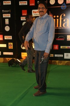 IIFA Utsavam 2016 Photos 2 - 53 of 137