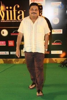 IIFA Utsavam 2016 Photos 2 - 115 of 137