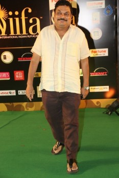 IIFA Utsavam 2016 Photos 2 - 119 of 137