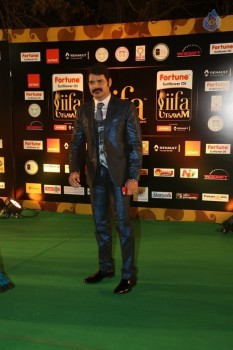 IIFA Utsavam 2016 Photos 2 - 122 of 137