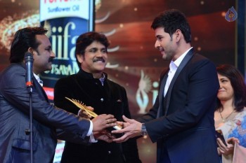 IIFA Utsavam 2016 Photos 5 - 38 of 118