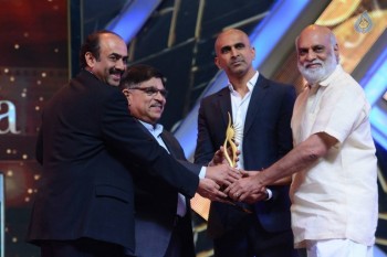 IIFA Utsavam 2016 Photos 5 - 84 of 118