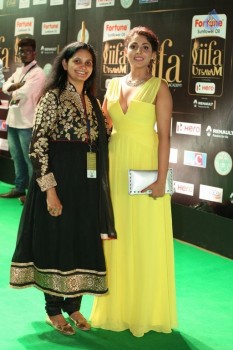 IIFA Utsavam 2017 Awards 1 (Day2) - 40 of 94