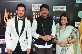 IIFA Utsavam 2017 Awards 1 (Day2) - 56 of 94