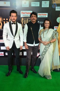 IIFA Utsavam 2017 Awards 1 (Day2) - 74 of 94