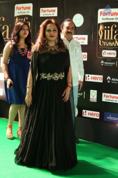 IIFA Utsavam 2017 Awards 1 (Day2) - 75 of 94