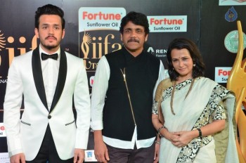IIFA Utsavam 2017 Awards 1 (Day2) - 84 of 94
