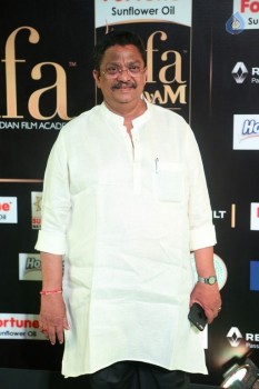 IIFA Utsavam 2017 Awards 2 (Day2) - 24 of 125
