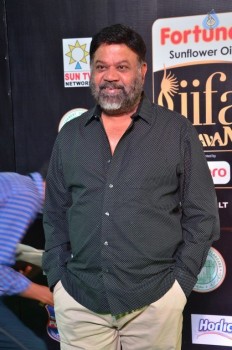IIFA Utsavam 2017 Awards 2 (Day2) - 51 of 125