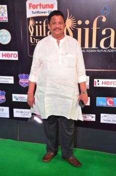 IIFA Utsavam 2017 Awards 2 (Day2) - 63 of 125
