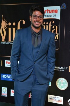 IIFA Utsavam 2017 Awards 3 (Day2) - 19 of 64