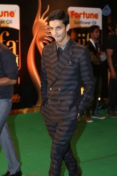 IIFA Utsavam Awards 2016 Photos 2 - 10 of 74