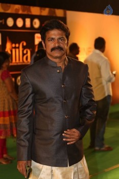 IIFA Utsavam Awards 2016 Photos 2 - 20 of 74