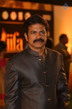IIFA Utsavam Awards 2016 Photos 2 - 36 of 74