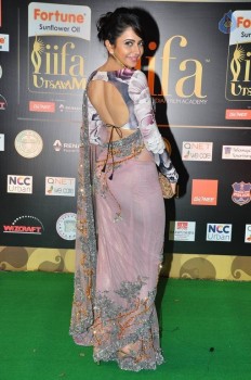 IIFA Utsavam Awards 2016 Photos 3 - 16 of 89
