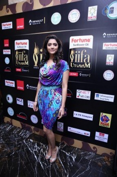 IIFA Utsavam Press Meet 1 - 34 of 89