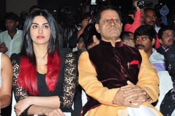 IIFA Utsavam Press Meet 2 - 33 of 63