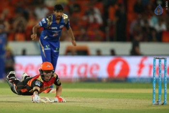 IPL T20 Sunrisers Hyderabad Match Photos - 8 of 37