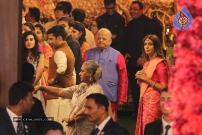 Isha Ambani and Anand Piramal Wedding Photos - 9 of 19