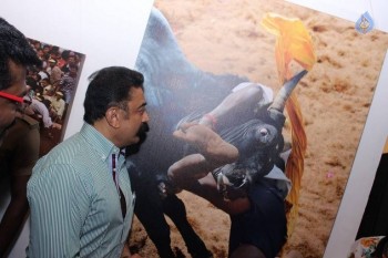 Jallikattu Photo Exhibition Opening - 9 of 23