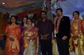 Jayachitra Son Amresh Wedding Reception - 54 of 102