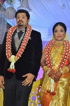 Jayachitra Son Amresh Wedding Reception - 61 of 102